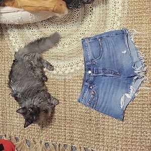 Levi denim shorts 501 boho jeans